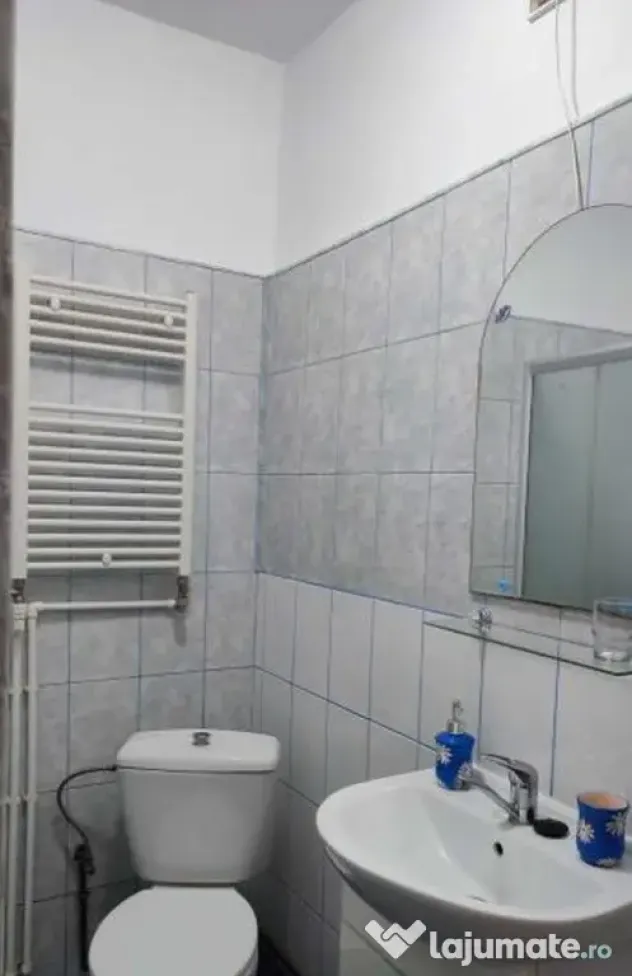 Brancoveanu paltinisului demisol bloc nou