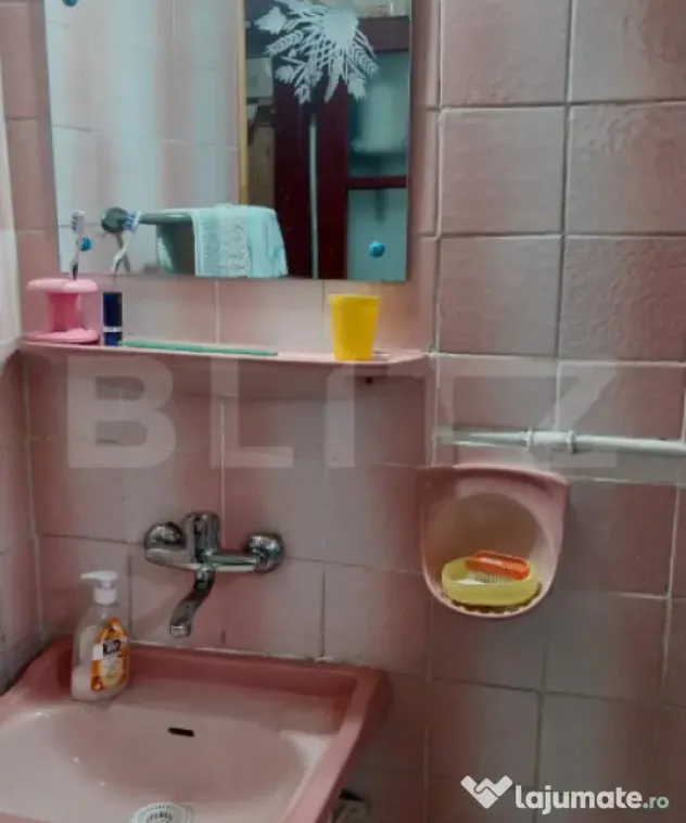 Cabană de vânzare în Colibița – refugiu perfect în mi