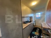 Apartament 2 camere, grădină, 2 parcări, zona Tineretulu 