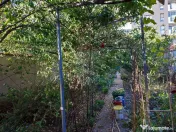 VANZARE SPECIALA Casă / Vilă cu 7 camere, Uverturii MIL...