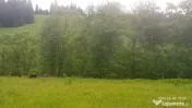 Teren in zona montana. Oportunitate de investitie 500mp 