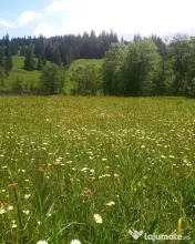Teren in zona montana. Oportunitate de investitie 500mp 