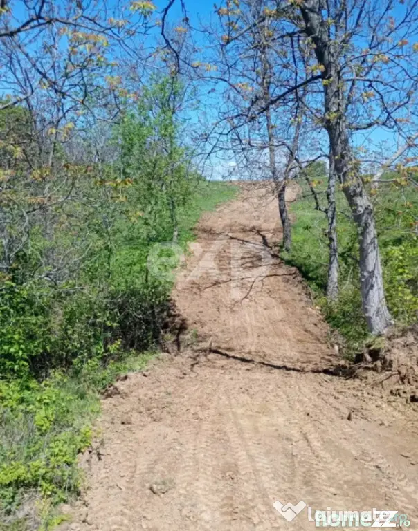 Vand Teren in Curtea de Arges suprafata 5000mp