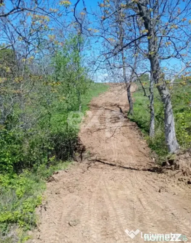 Vand Teren in Curtea de Arges suprafata 5000mp