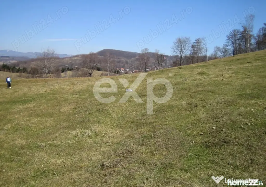 Vand Teren in Curtea de Arges suprafata 5000mp