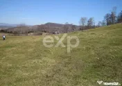 Vand Teren in Curtea de Arges suprafata 5000mp 
