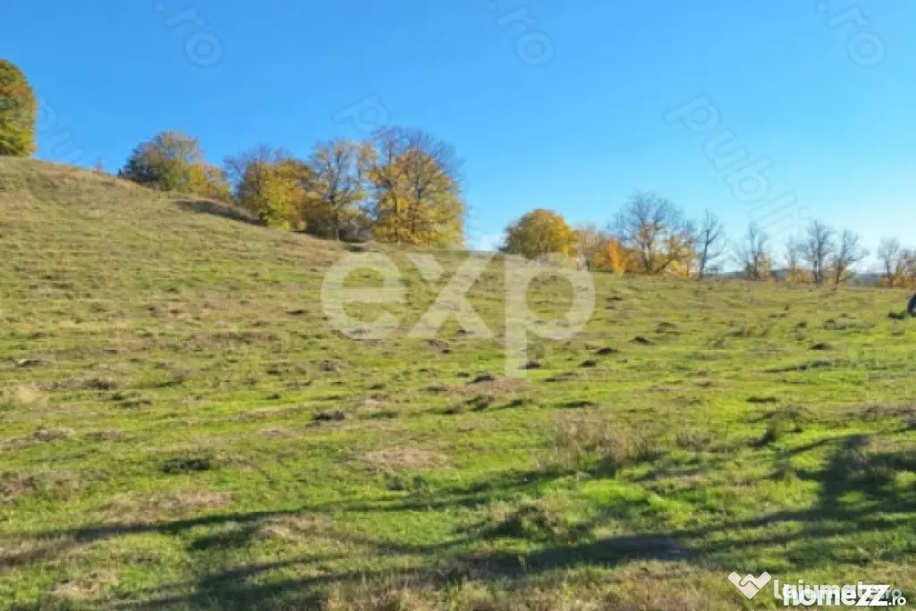 Vand Teren in Curtea de Arges suprafata 5000mp