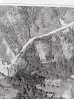 Livada + padure + teren extravilan, 14.400 mp, zona Gemenea-
