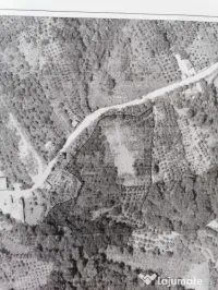Livada + padure + teren extravilan, 14.400 mp, zona Gemenea- 