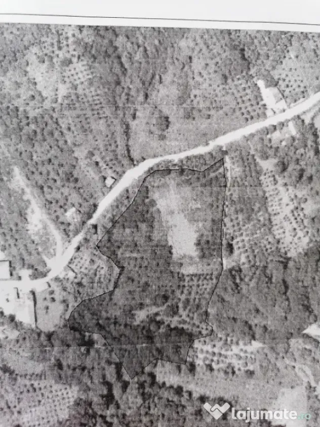 Livada + padure + teren extravilan, 14.400 mp, zona Gemenea-