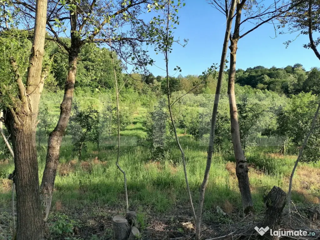 Livada + padure + teren extravilan, 14.400 mp, zona Gemenea-