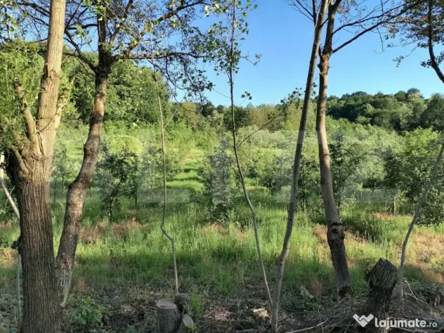 Livada + padure + teren extravilan, 14.400 mp, zona Gemenea-