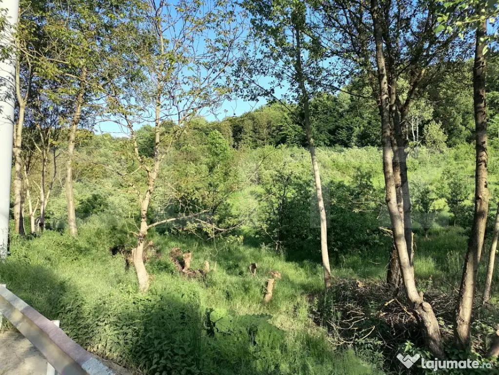 Livada + padure + teren extravilan, 14.400 mp, zona Gemenea-