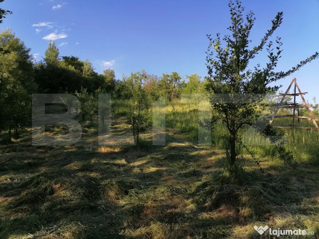 Livada + padure + teren extravilan, 14.400 mp, zona Gemenea-