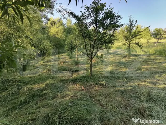 Livada + padure + teren extravilan, 14.400 mp, zona Gemenea-