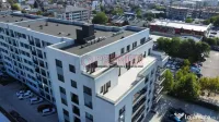 PENTHOUSE - 550 MP