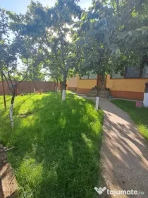 Casă P+1, compusă din 2 apartamente (intabulate separat) teren 1216 mp
