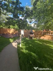 Casă P+1, compusă din 2 apartamente (intabulate separat) teren 1216 mp 