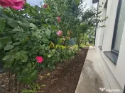 Vila 4 camere | 110 mp utili | Teren 320 mp