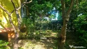 Apartament cu 3 camere si gradină de vânzare 