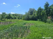 Liniște. Natură. Acasă.
