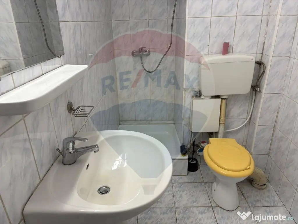 Apartament cu 2 camere Calea Mosilor