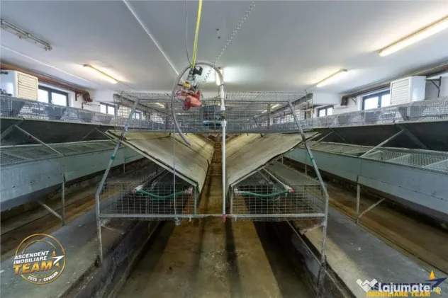FILM! Ferma de iepuri,Malnas,Covasna: domeniu:comercial indu