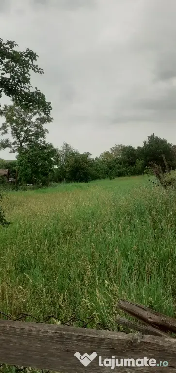 Vând teren intravilan