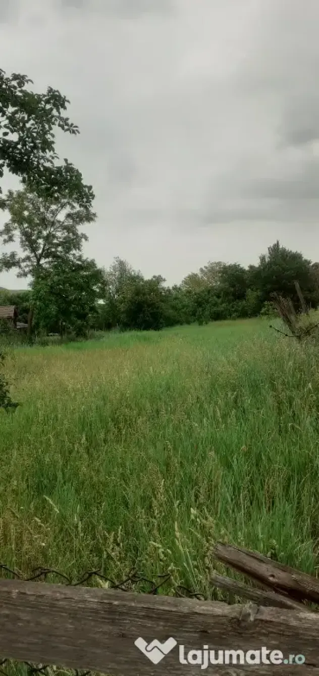 Vând teren intravilan