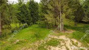 Teren intravilan 3000 mp in Porumbacu de Sus din Sibiu 