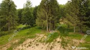 Teren intravilan 3000 mp in Porumbacu de Sus din Sibiu 