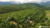 Teren intravilan 3000 mp in Porumbacu de Sus din Sibiu 