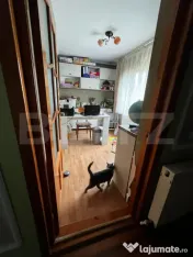 Casa de Vanzare Sat Traian Comuna Branistea 