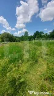 Casă solidă, teren de 2.800 mp cu livada I Natura si linis 