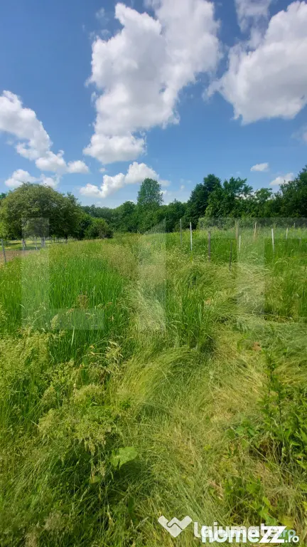 Casă solidă, teren de 2.800 mp cu livada - Aninoasa - Aninoasa (Covasna)
