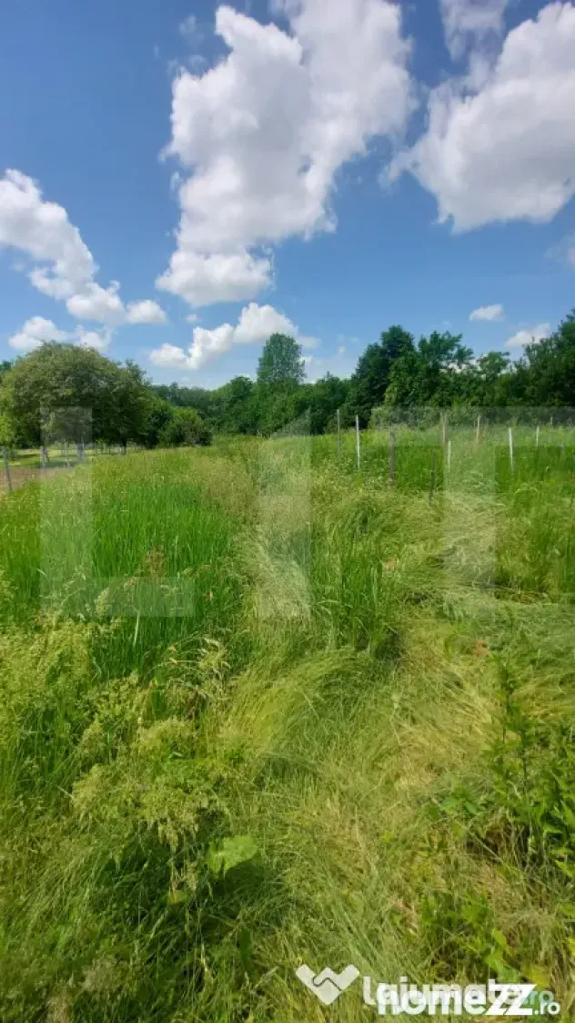 Casă solidă, teren de 2.800 mp cu livada - Aninoasa - Aninoasa (Covasna)