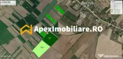 Terenuri de vanzare Intravilane Tartasesti | ApexImobiliare. 