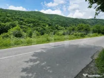 Teren Intravilan la sosea, 1407 mp, Someșu Rece