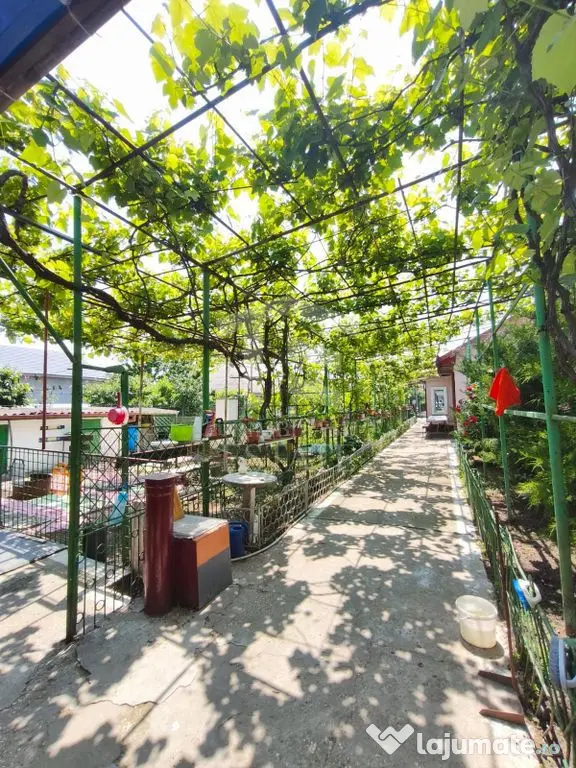 CASA POIANA | PANOURI SOLARE | TEREN 800 MP