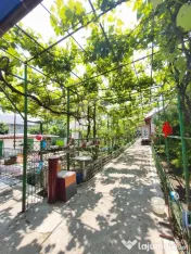 CASA POIANA | PANOURI SOLARE | TEREN 800 MP