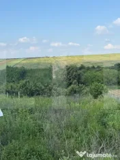 Teren intravilan, 1524mp, Mănăstirea Doamnei- Botoșani 