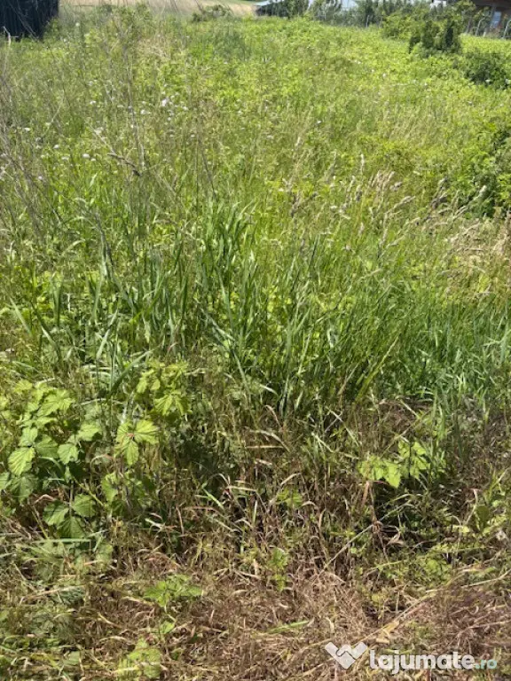40euro/mp!!! Valea Lupului! Teren intravilan asfalt, utilita