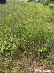 40euro/mp!!! Valea Lupului! Teren intravilan asfalt, utilita
