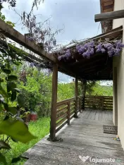 Casă renovată premium, Drajna de Sus, Prahova 3029 mp