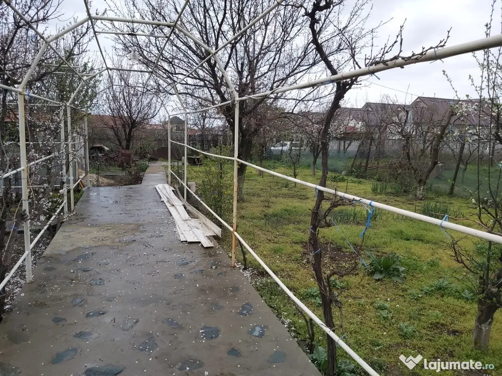 Oportunitate I Teren Intravilan I 1000 MP - Navodari