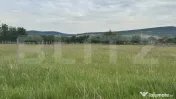 1100 mp de teren intravilan în Livezile, perfect pentru con