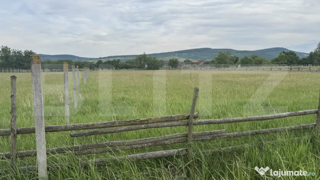 1100 mp de teren intravilan în Livezile, perfect pentru con