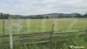 1100 mp de teren intravilan în Livezile, perfect pentru con