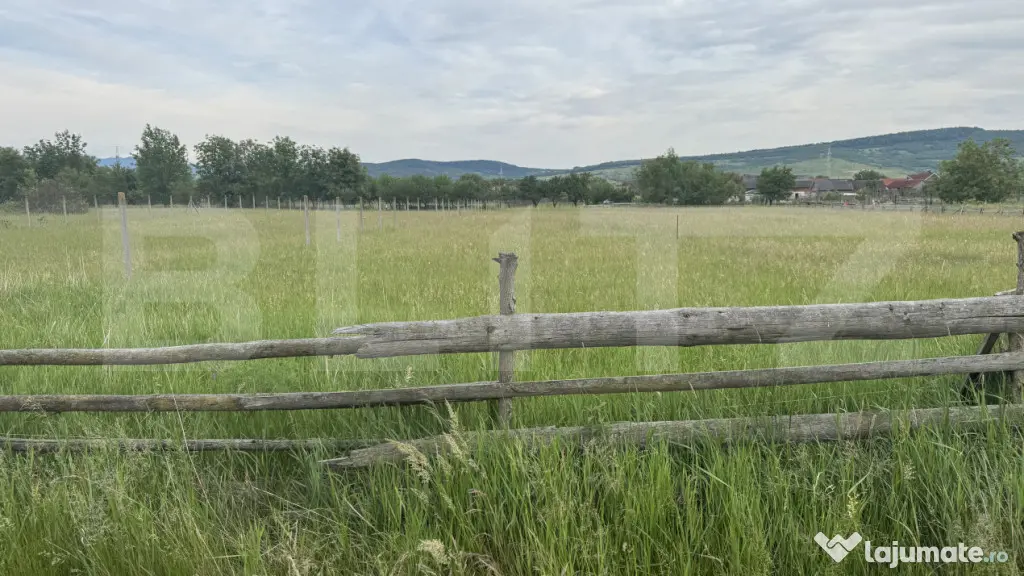 1100 mp de teren intravilan în Livezile, perfect pentru con