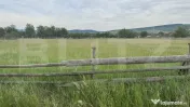 1100 mp de teren intravilan în Livezile, perfect pentru con